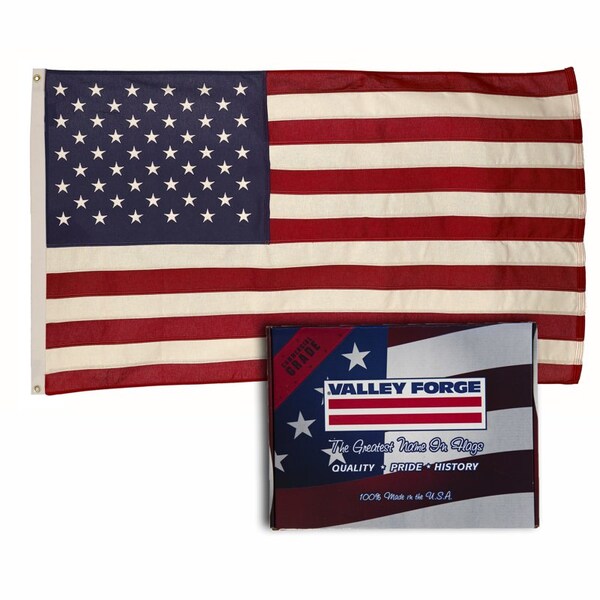 Amazon.com: Valley Forge 60211000 American Flag, 6'x10